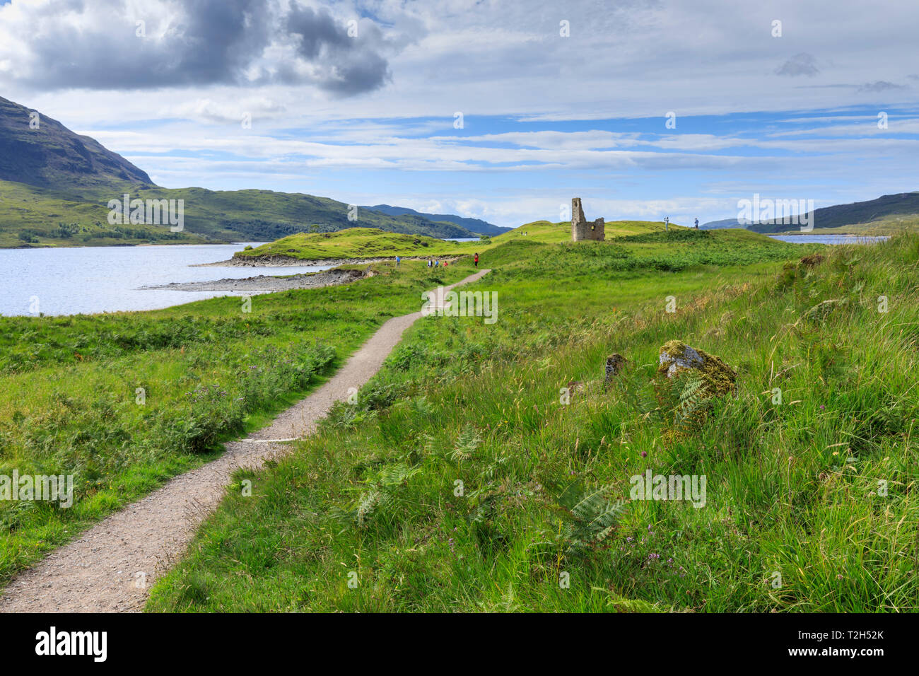 Path through field to Ardvreck Castle in Scotland, Europe Stock Photo