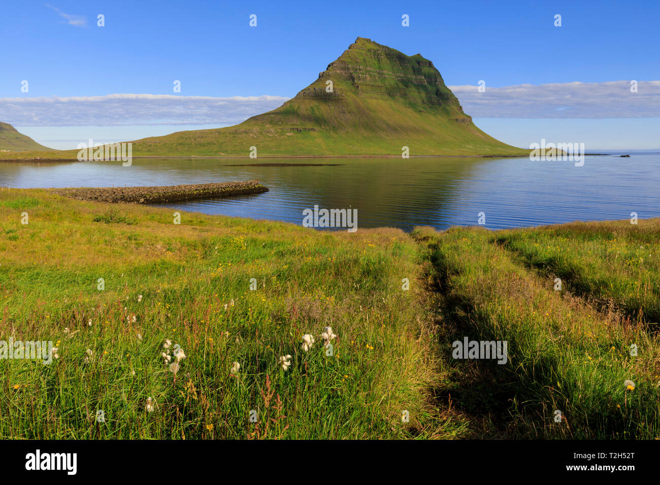 Field by Kirkjufell mountain in Grundarfjordur, Iceland, Europe Stock Photo