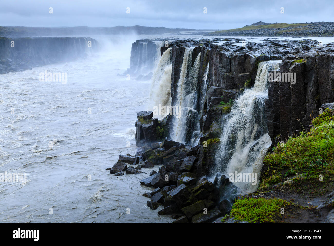 Selfoss waterfall in Jokulsargljufur canyon, Iceland, Europe Stock Photo