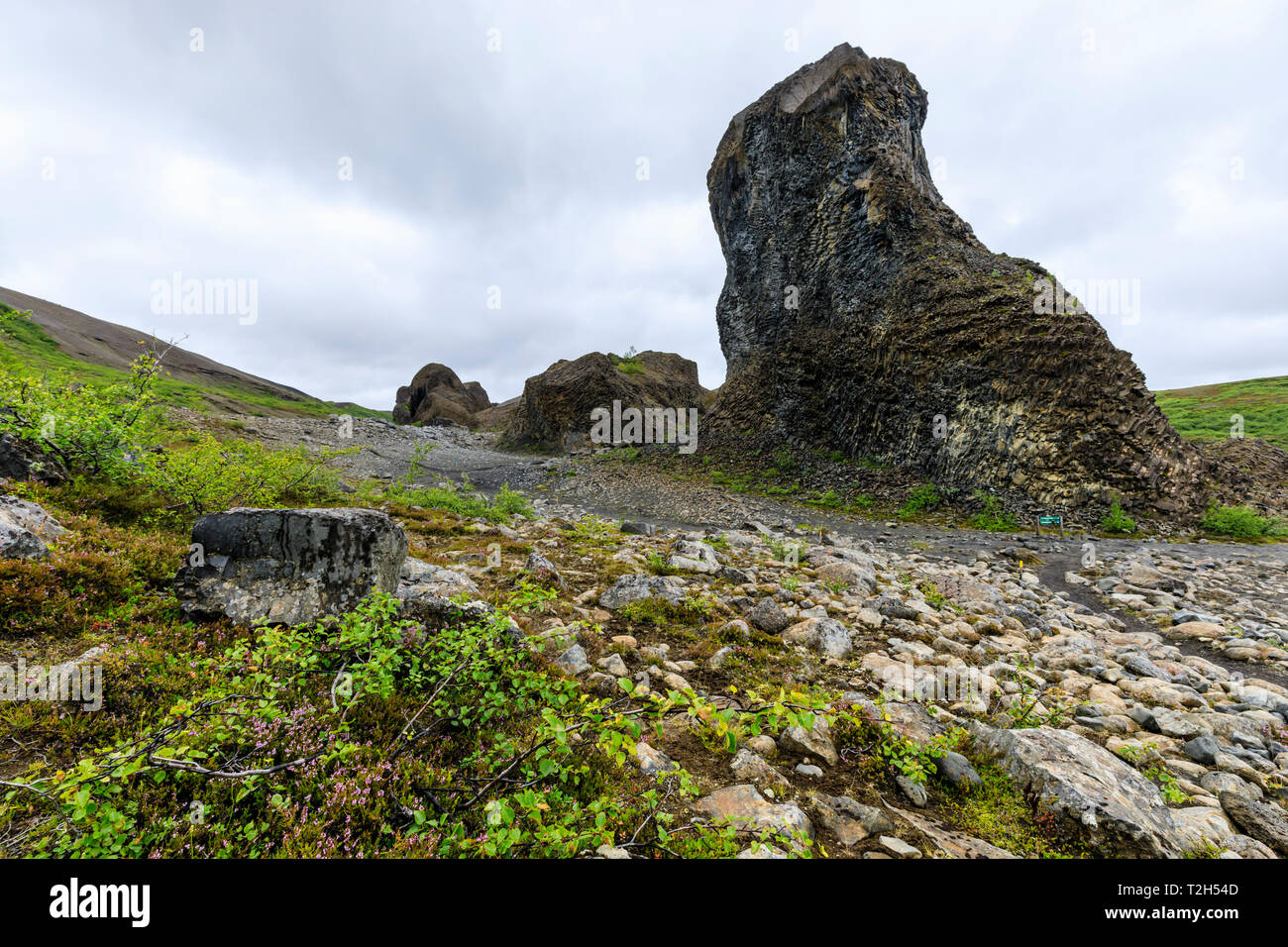 Basalt rock formations in Vatnajokull National Park, Iceland, Europe Stock Photo