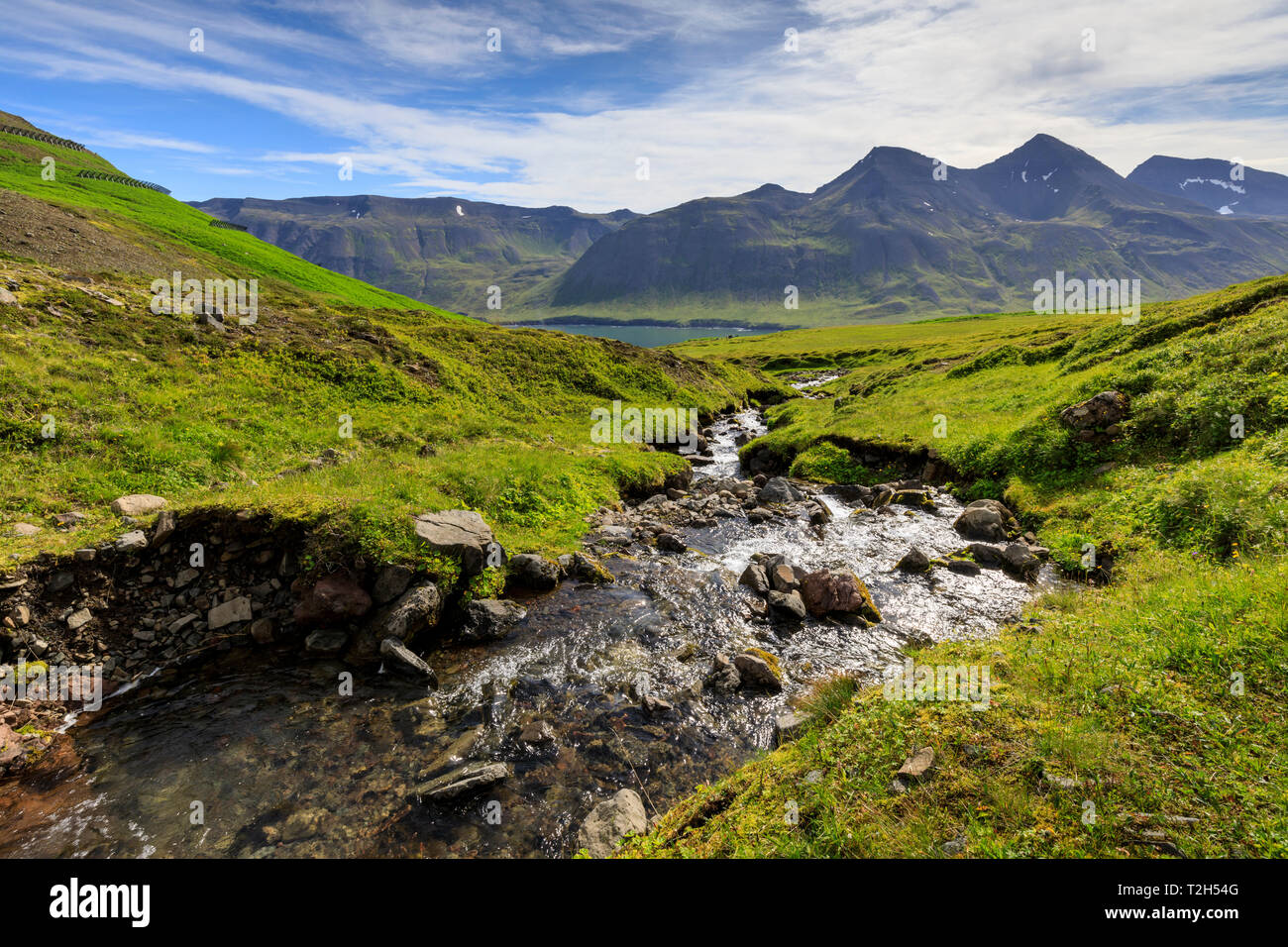 Stream in Hvanneyrarskal, Iceland, Europe Stock Photo