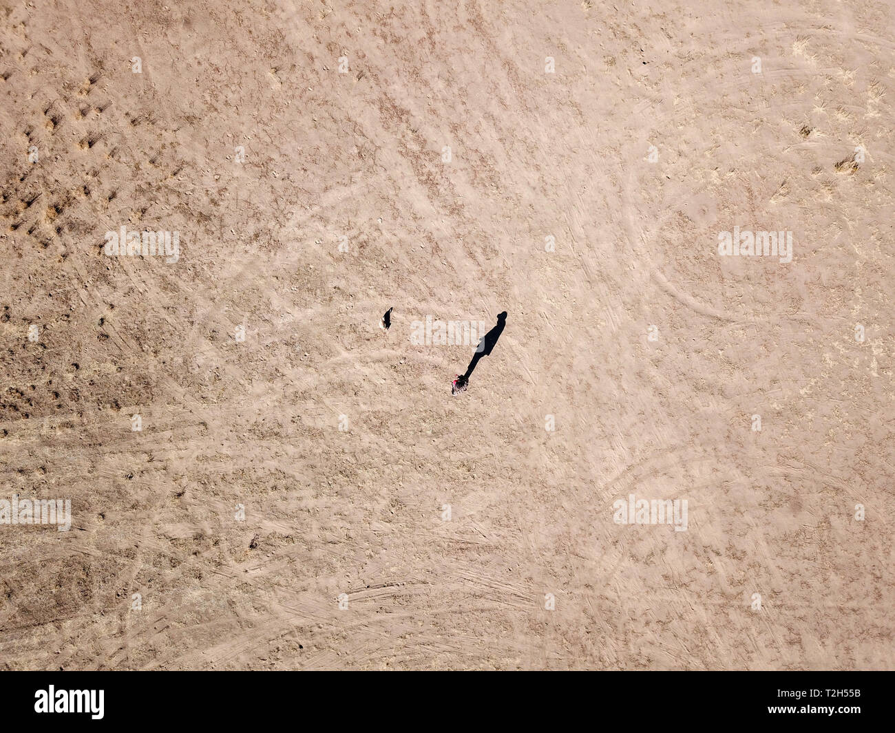 Top down view of a man walking his dog in a dirt field Stock Photo