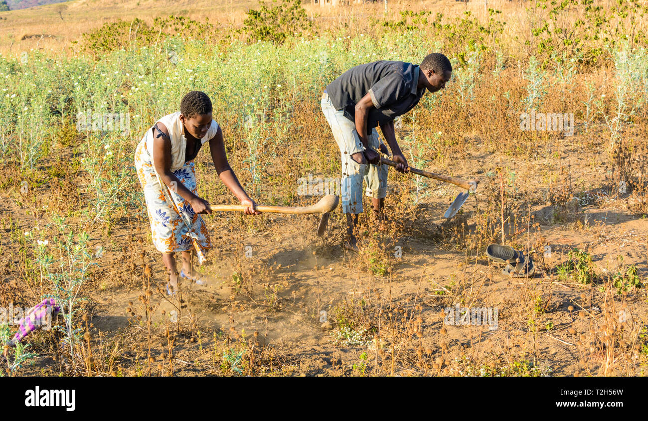 Farmers with hoe africa hi-res stock photography and images - Alamy