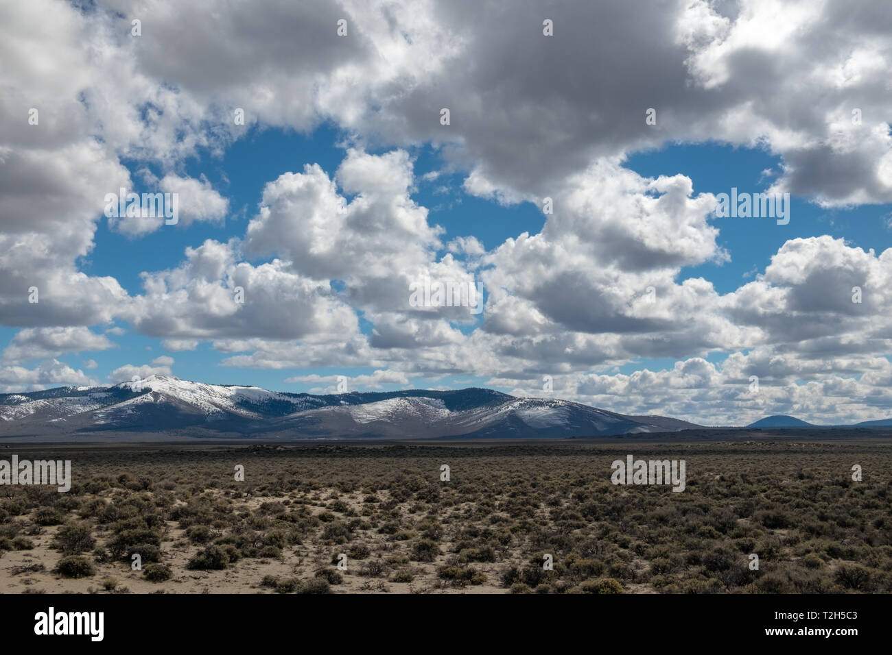 High sagebrush desert hi-res stock photography and images - Alamy