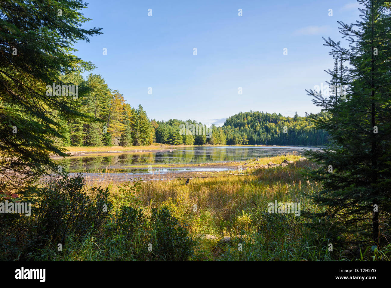 River and Highland Backpacking Trail in Algonquin Provincial Park, Ontario, Canada, North America Stock Photo