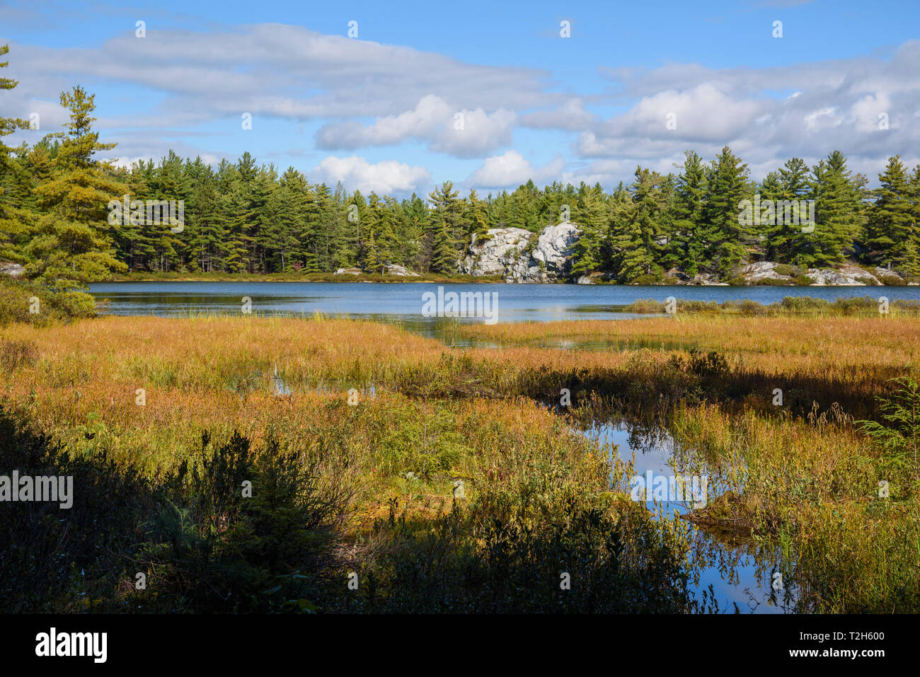 Silver lake park hi-res stock photography and images - Alamy