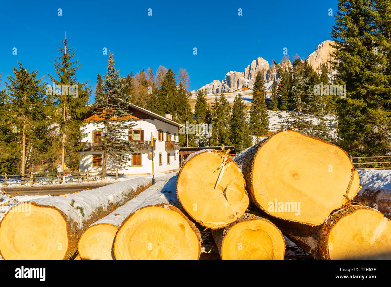 Logs by house in snow in Carezza, Italy, Europe Stock Photo