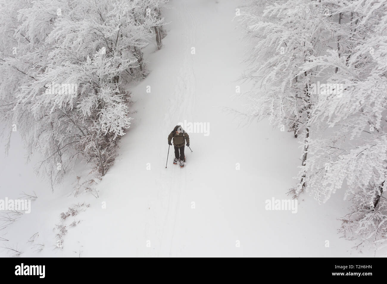 Man on snowshoes in the snow covered forest Stock Photo