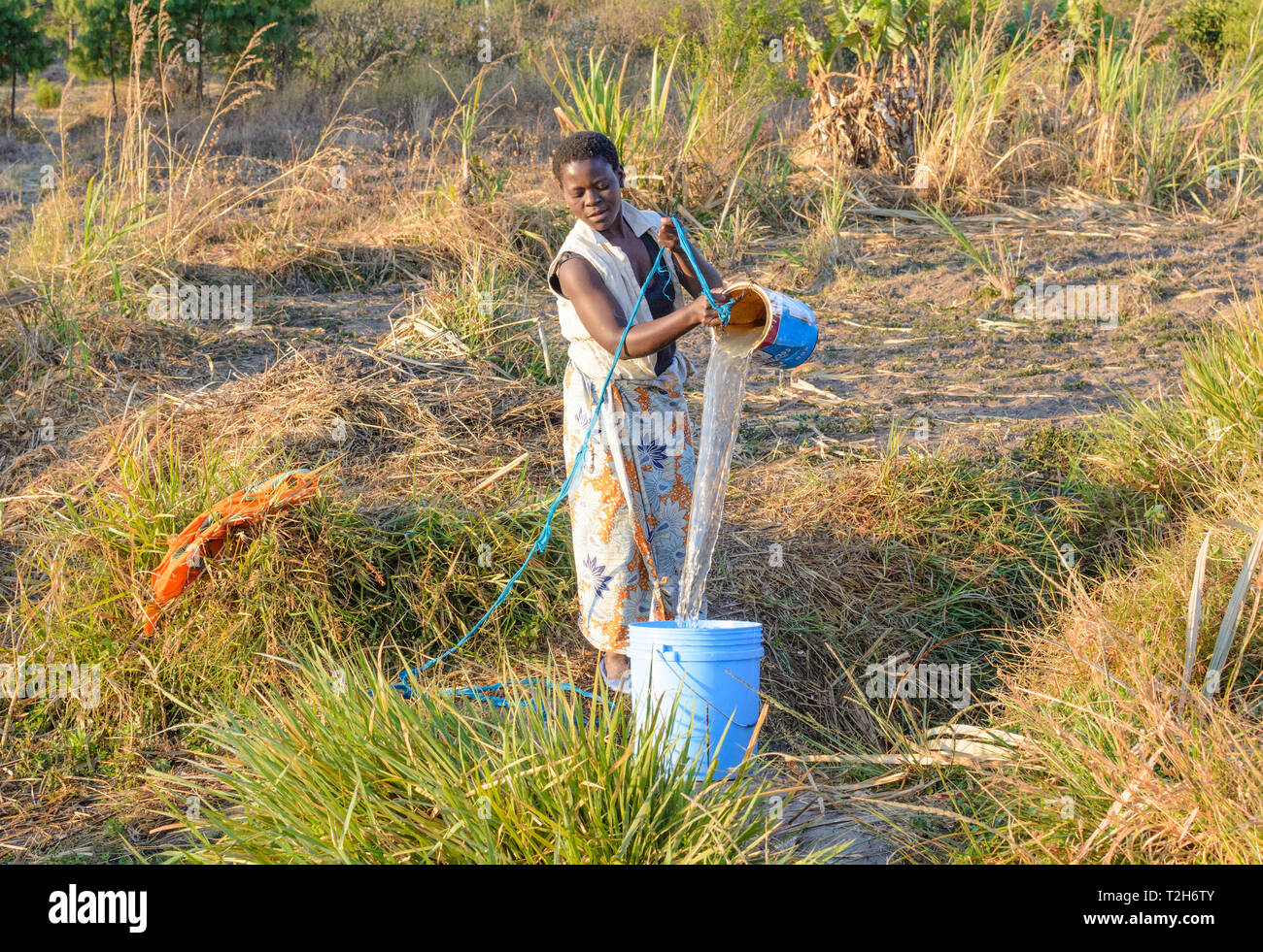 Malawian woman draws water from shallow well in a village using a paint tin and rope Stock Photo