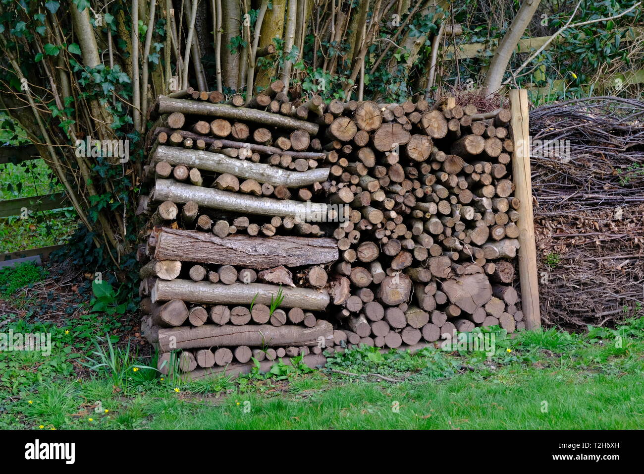 Stacked Fire, Wood, Winter Fuel, Open Fires, Drying, Firewood, Cut Fuel, Wood Stack, Logs, Lumber, Hard Wood, Ecological Fuel.. Stock Photo