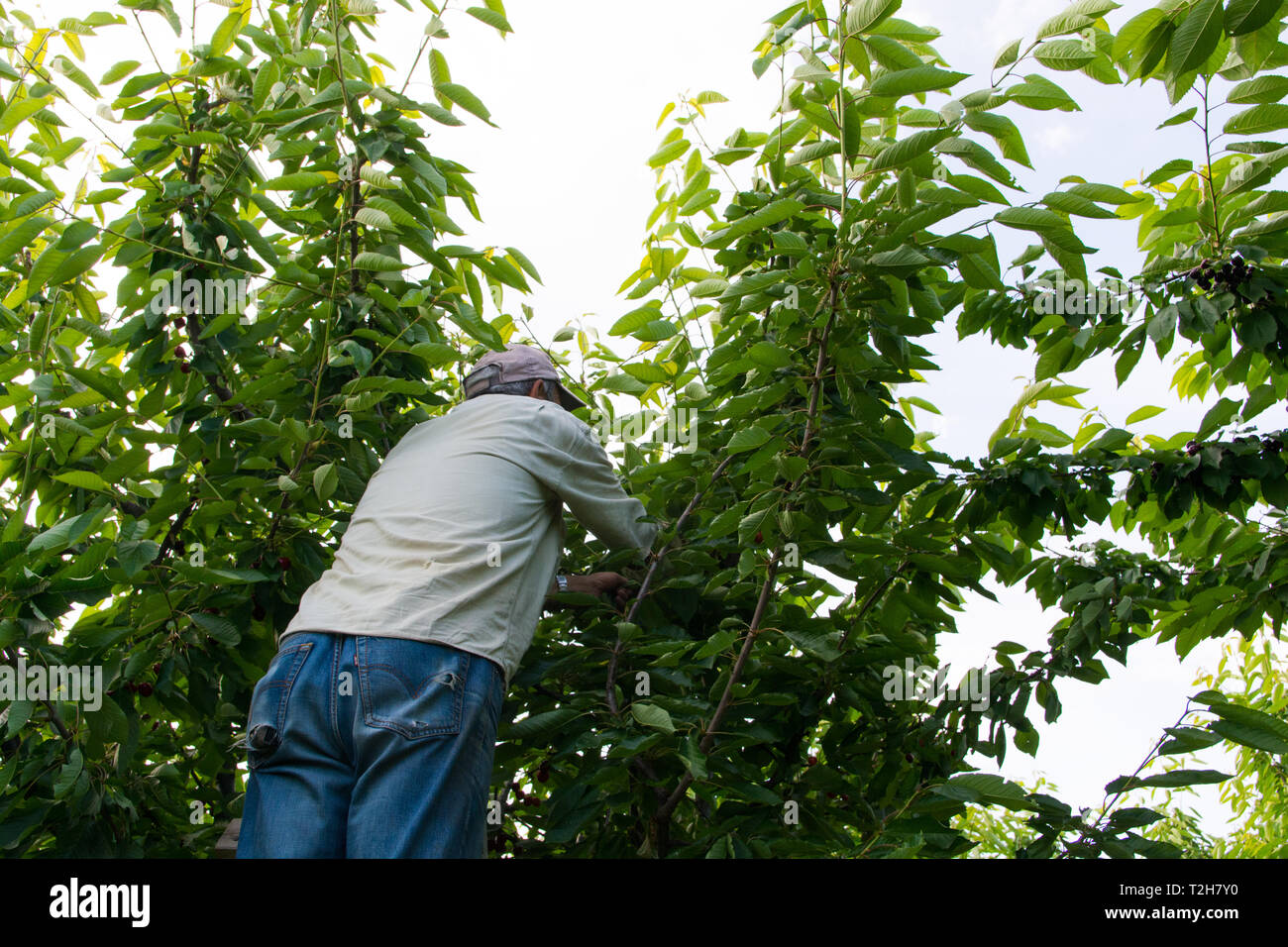 Daily salary hires stock photography and images Alamy