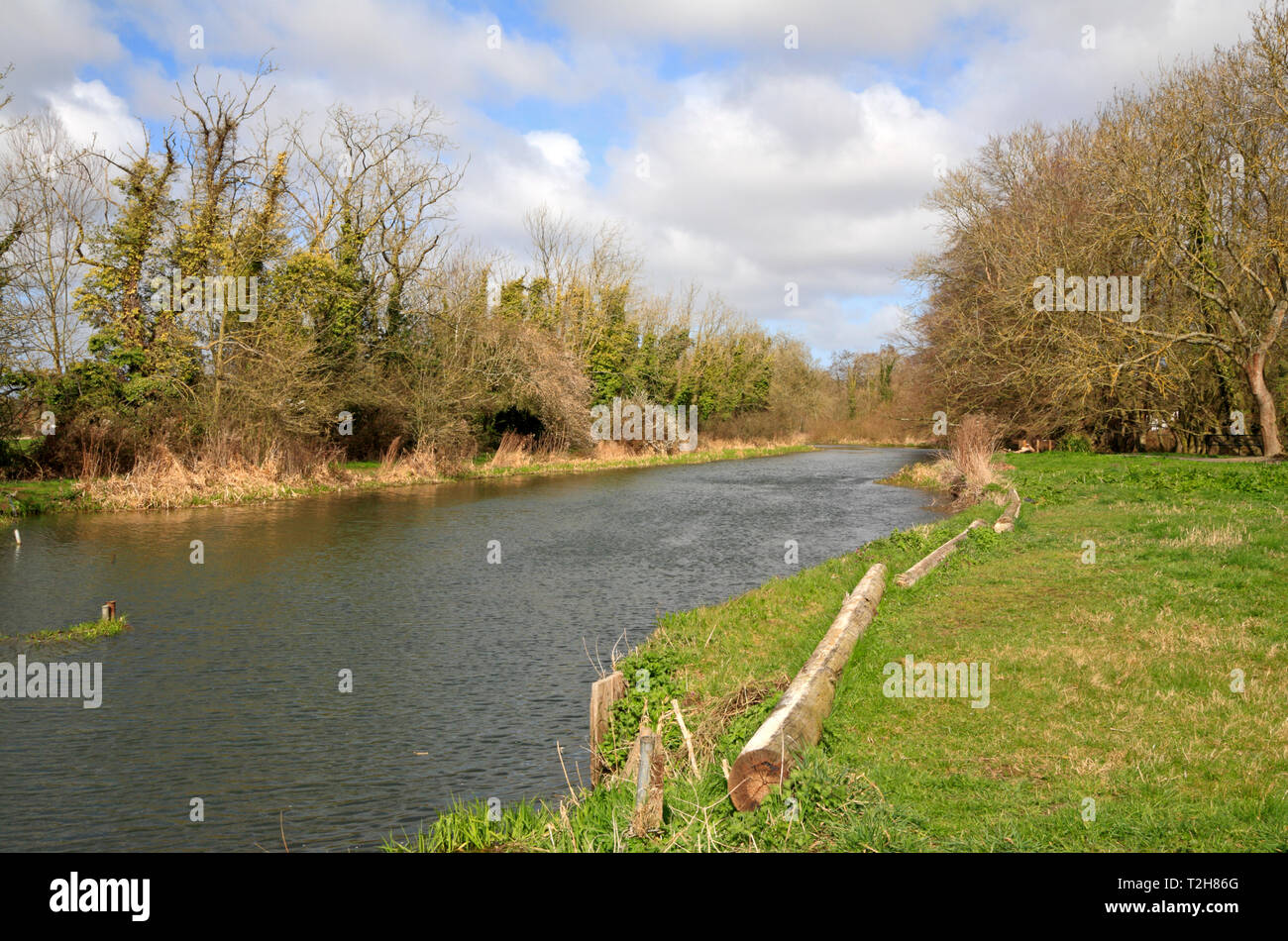 A view of the River Bure upstream of Horstead Mill from Coltishall, Norfolk, England, United Kingdom, Europe. Stock Photo