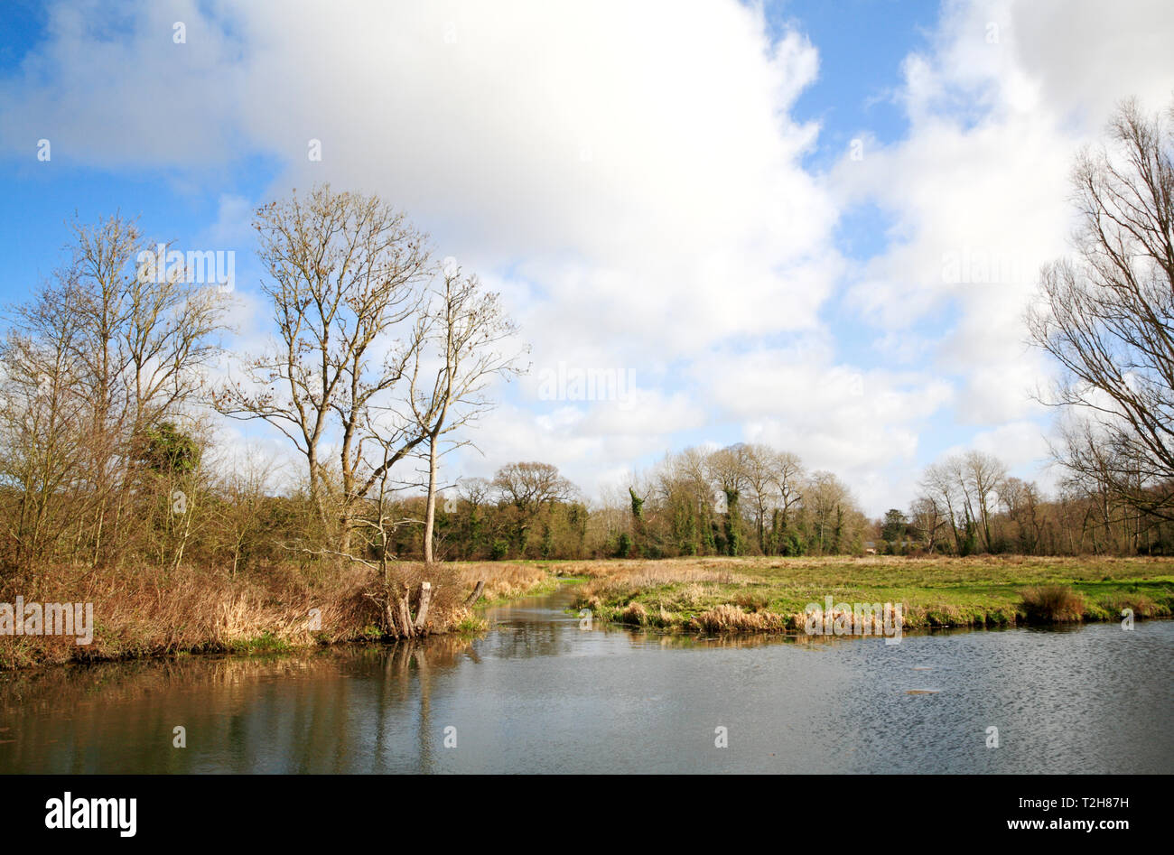 A view of marshes with canal bypassing Horstead Mill from the River Bure at Coltishall, Norfolk, England, United Kingdom, Europe. Stock Photo