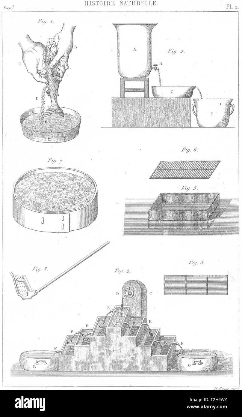 SCIENCE. Histoire Naturelle. Repeuplement eaux(Pisciculture) 1879 old print Stock Photo