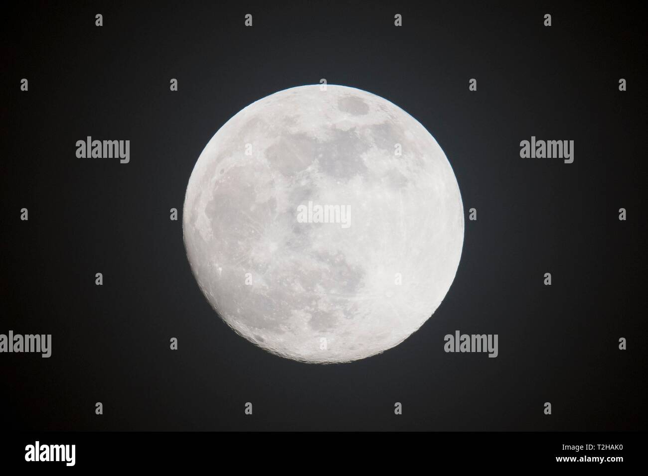 Full moon, night sky, Emsland, Lower Saxony, Germany Stock Photo