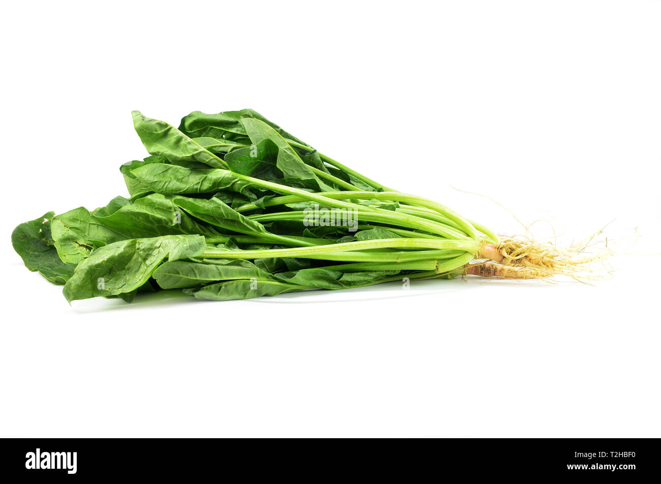 Fresh bunch of spinach isolated on white background Stock Photo - Alamy
