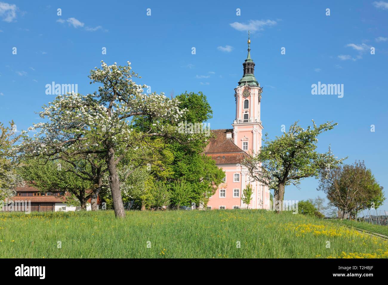 Pilgrimage Church and Birnau Monastery, Unteruhldingen, Lake Constance Region, Baden-Wurttemberg, Germany Stock Photo