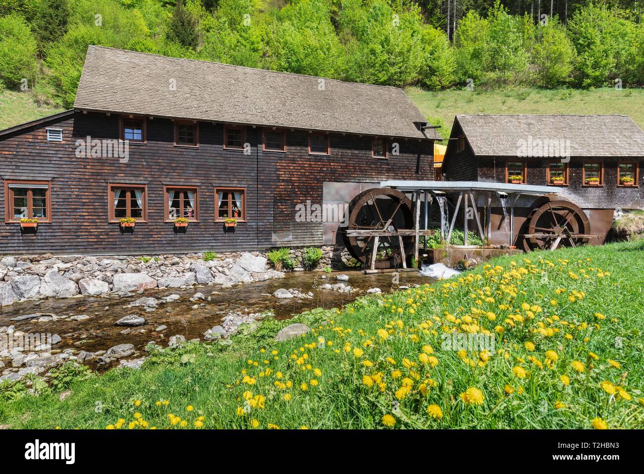 Water mill, Hexenlochmuhle near Furtwangen, Black Forest, Baden-Wurttemberg, Germany Stock Photo