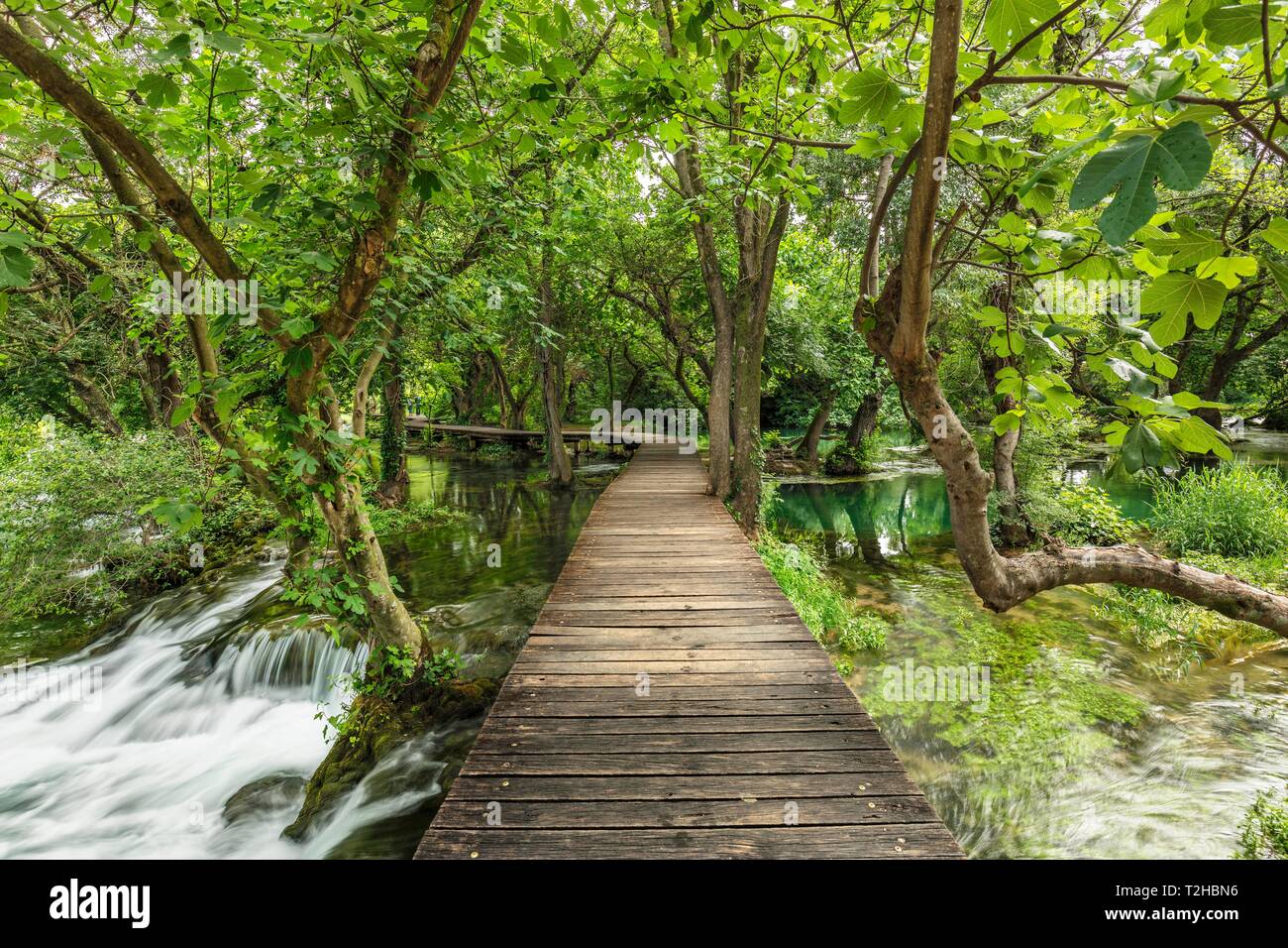 Footbridge over Krka river basin, Krka National Park, Dalmatia, Croatia Stock Photo