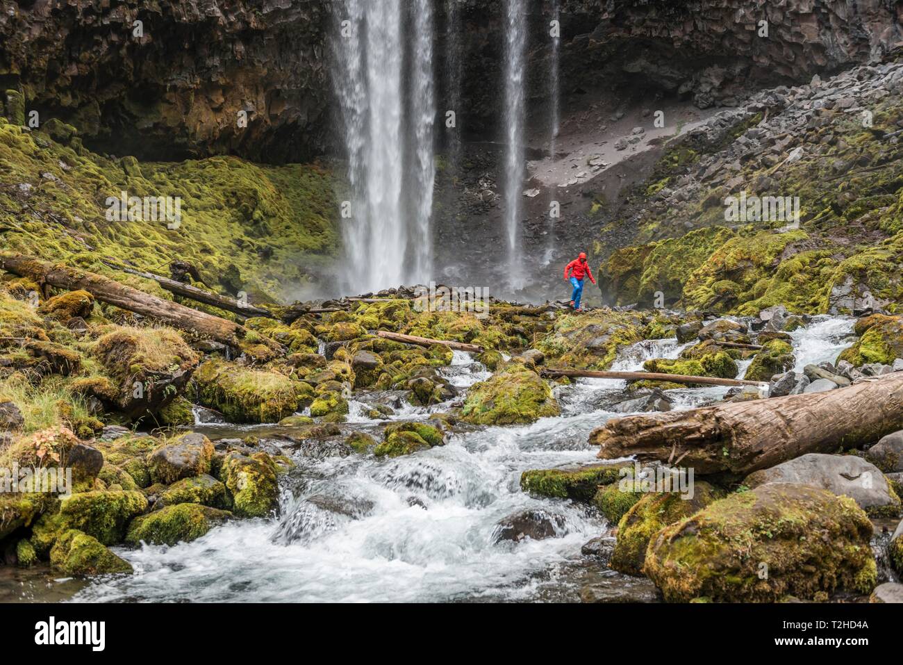 Young woman, hiker running in front of high waterfall, water falls, Tamanawas Falls, Wild River Cold Spring Creek, Oregon, USA Stock Photo