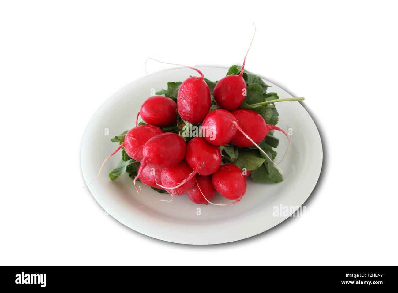 Radish on white plate, Freisteller, Germany Stock Photo