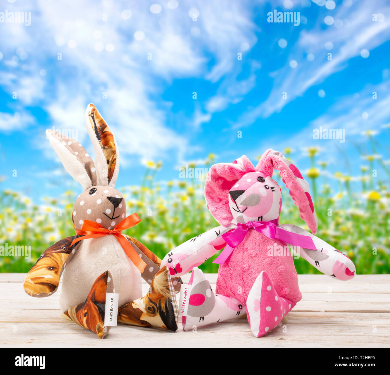 https://c8.alamy.com/comp/T2HEP5/two-easter-bunnies-and-empty-space-for-text-easter-holiday-concept-T2HEP5.jpg
