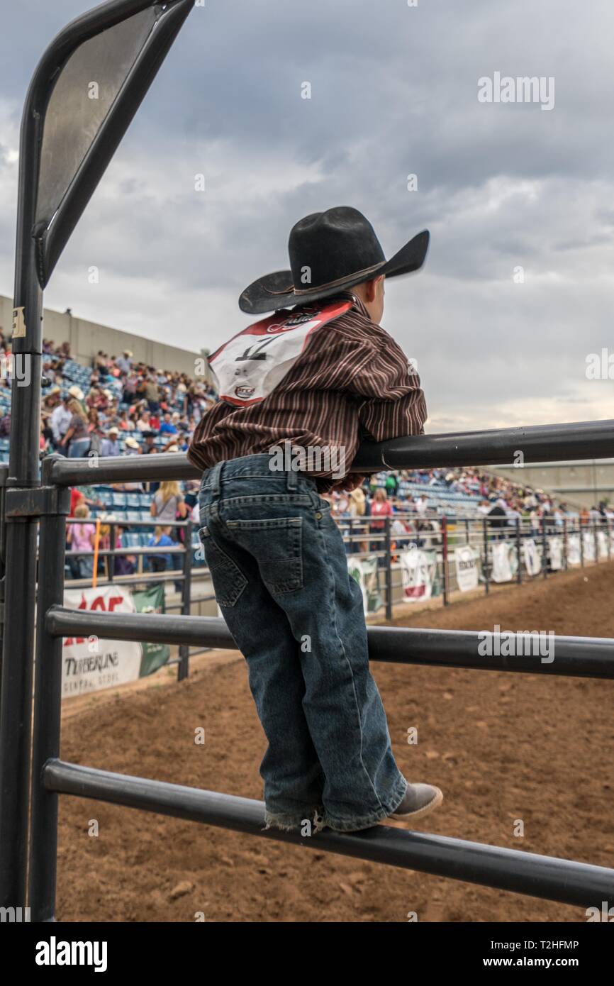 Cowboy boy at rodeo as spectator, Heber City, Utah, USA Stock Photo