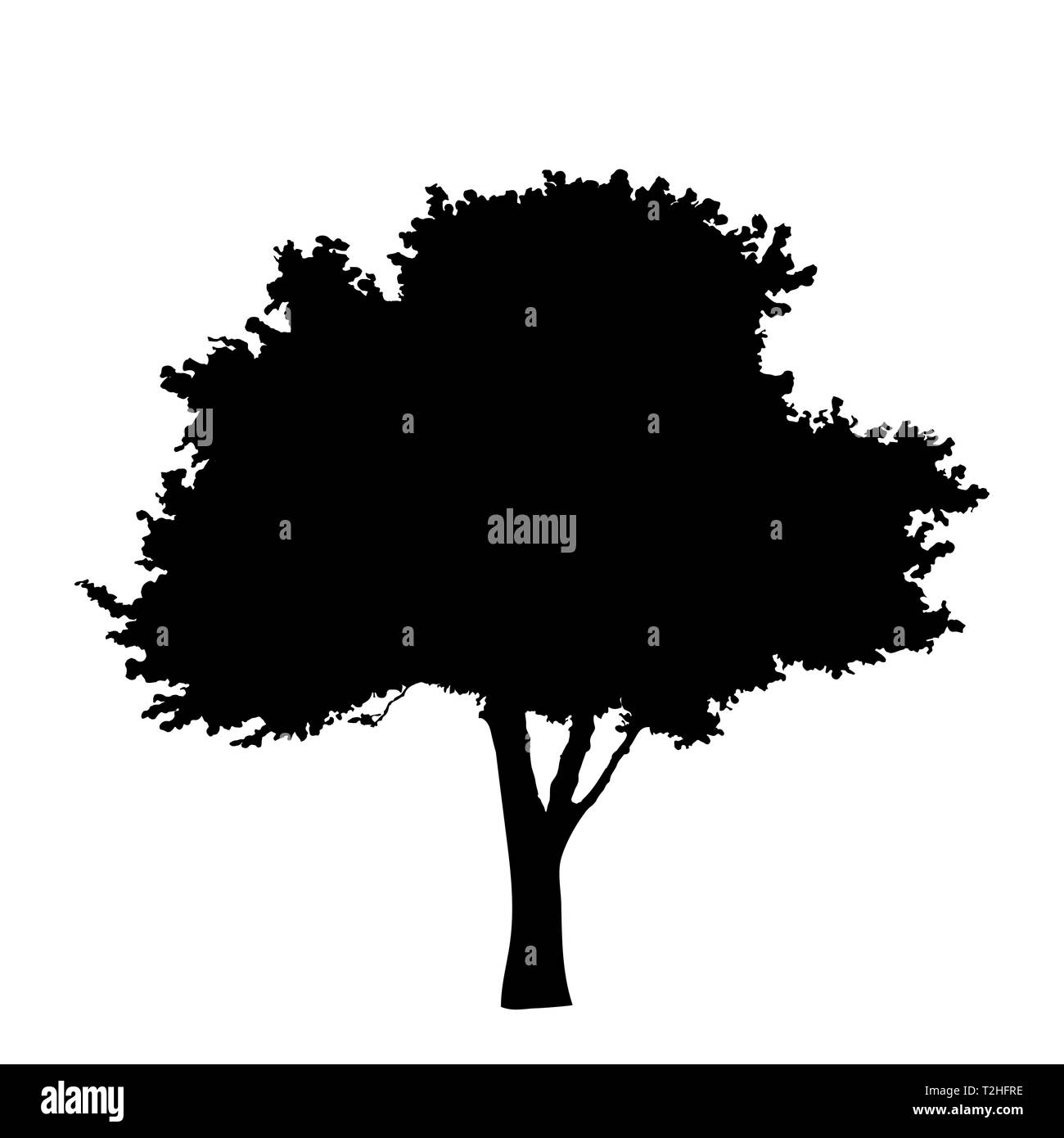 Tree silhouette isolated on white background vector Stock Vector Image ...