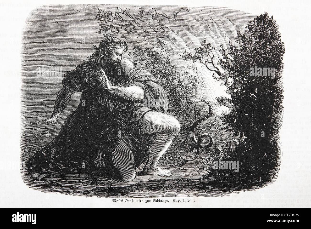 Moses' Staff Becomes a Serpent, Historical Illustration in an Old Bible, Old Testament, Holy Scripture, Germany Stock Photo