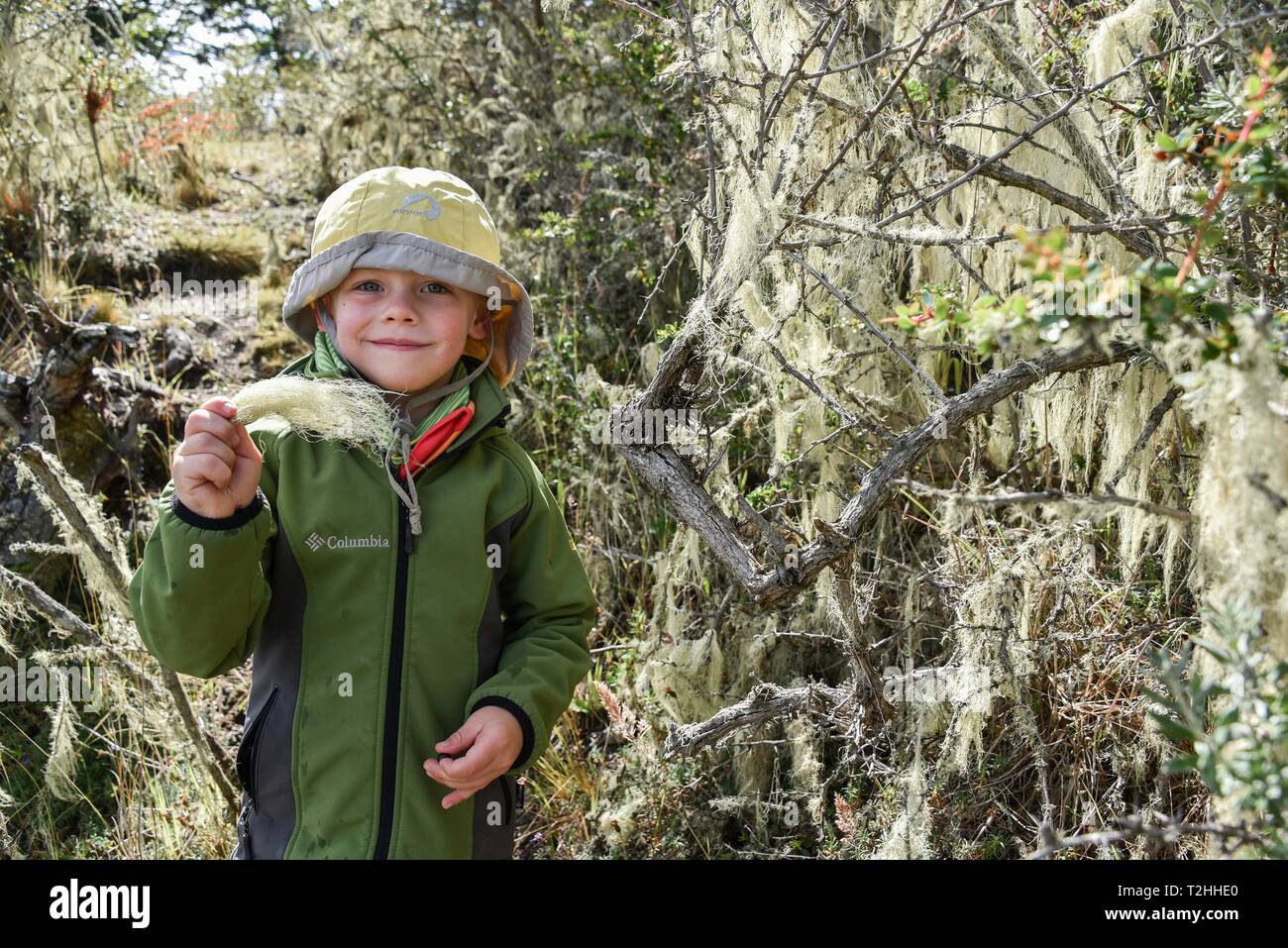 Small boy with tree lichen in his hand, Patagonian Rainforest, Fin del Mundo, End of the World, Parque Nacional Tierra del Fuego, National Park Stock Photo