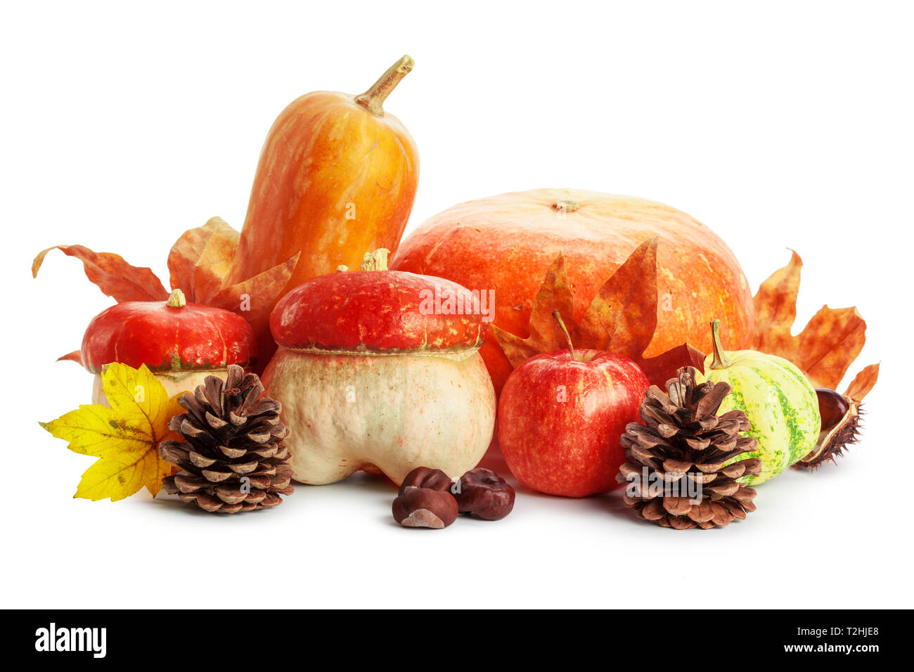 Autumn display with pumpkin and leaves isolated on white background ...