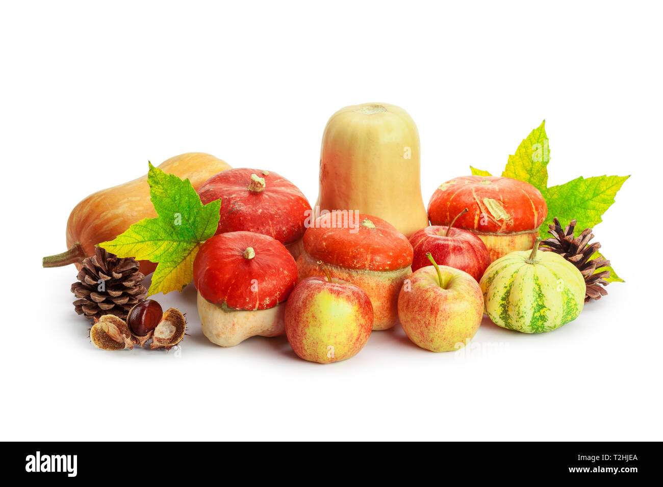 Autumn display with pumpkin and leaves isolated on white background ...