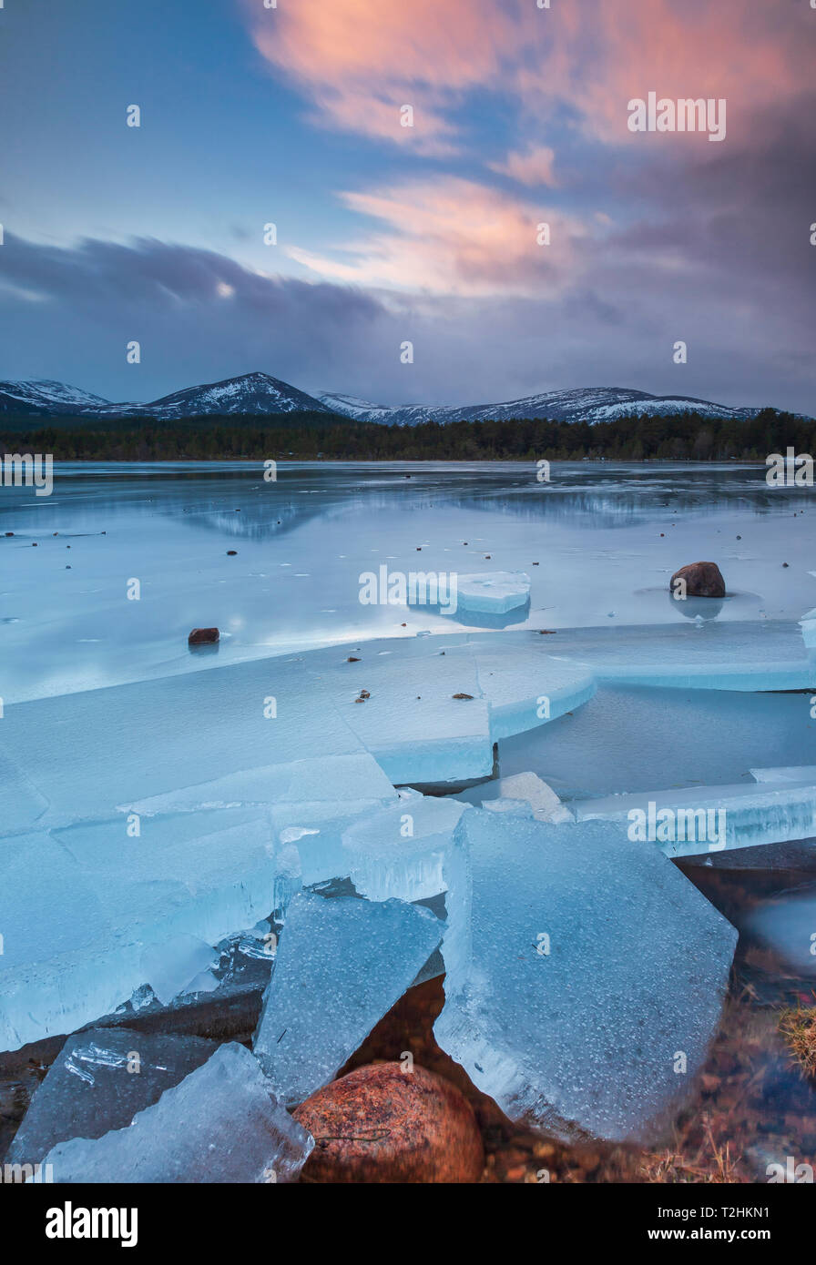 Ice sheets in severe winter weather on Loch Morlich, at daybreak, in the Badenoch and Strathspey area of Highland, Scotland, United Kingdom Stock Photo