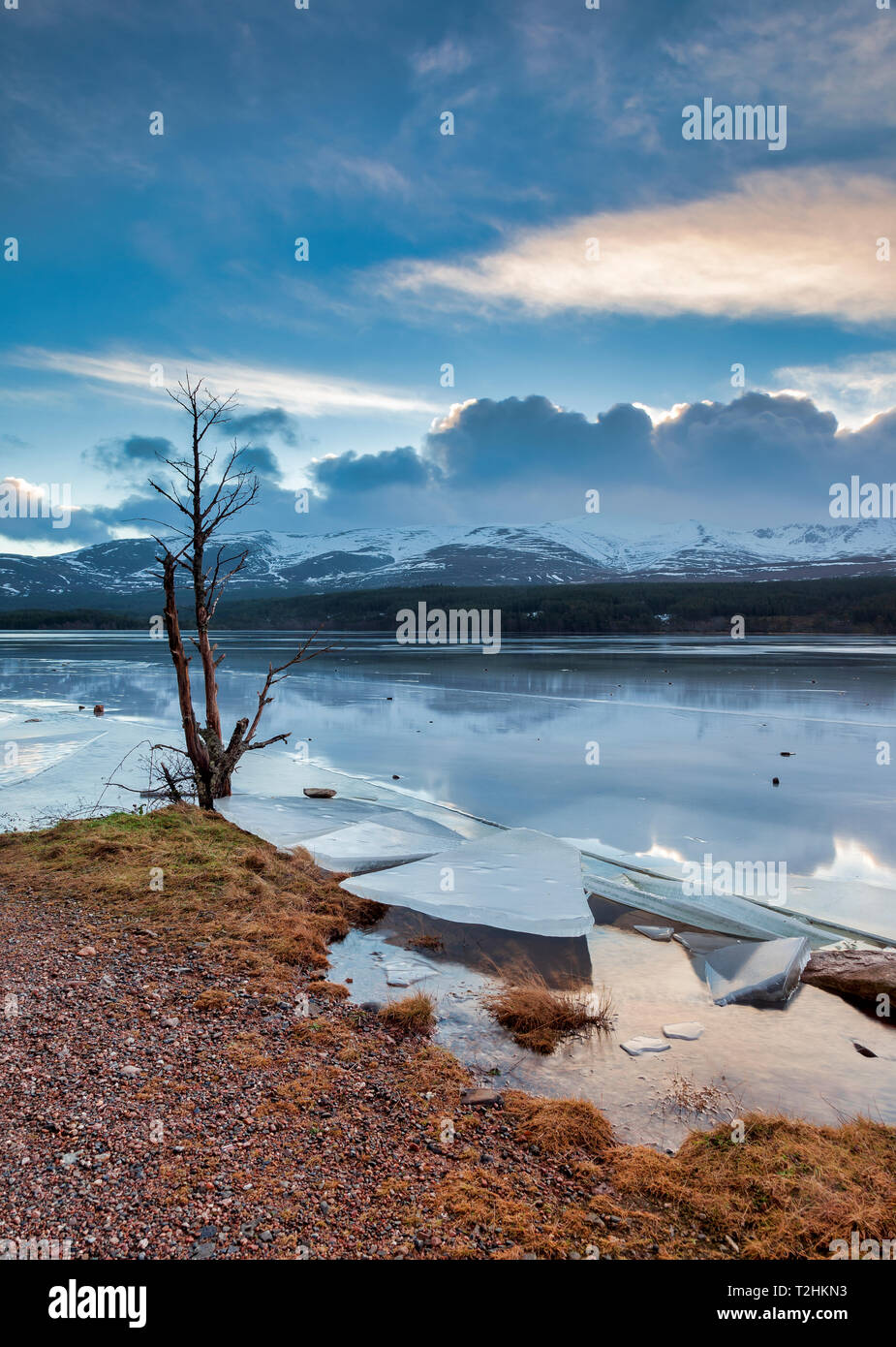 Ice sheets in severe winter weather on Loch Morlich, at daybreak, in the Badenoch and Strathspey area of Highland, Scotland, United Kingdom Stock Photo
