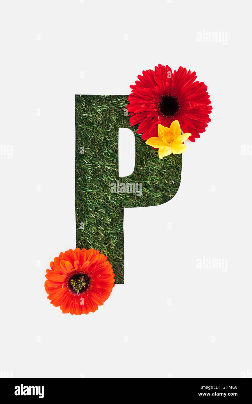Letter P Flowers Stock Photos Letter P Flowers Stock Images Alamy