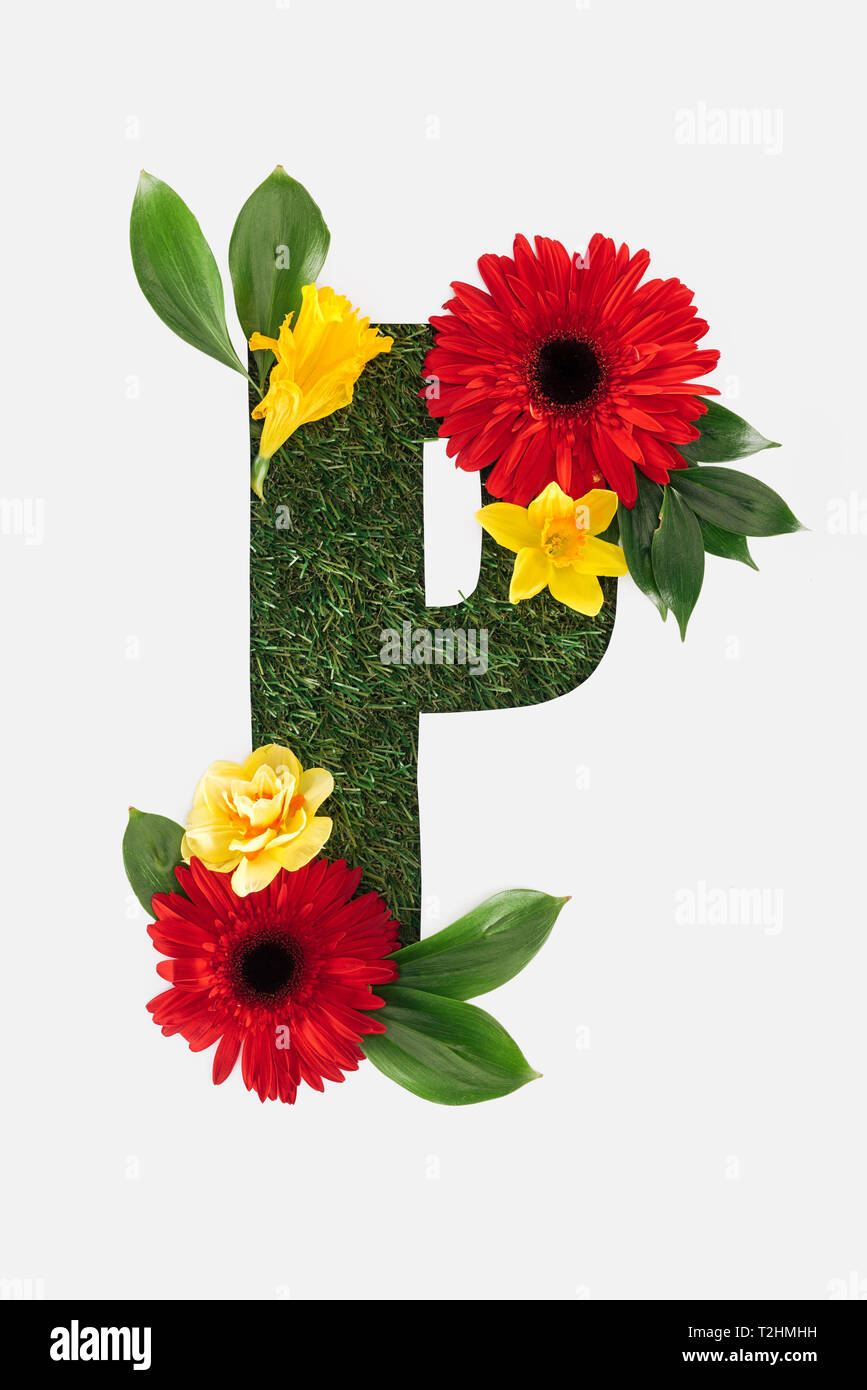 Letter P Flowers Stock Photos Letter P Flowers Stock Images Alamy