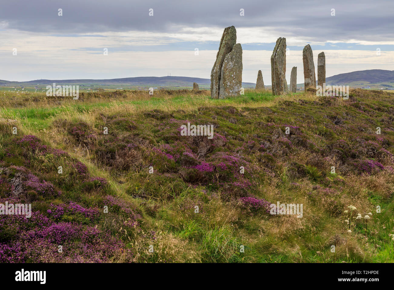 Ring of Brodgar stone circle in Orkney Islands, Scotland, Europe Stock Photo