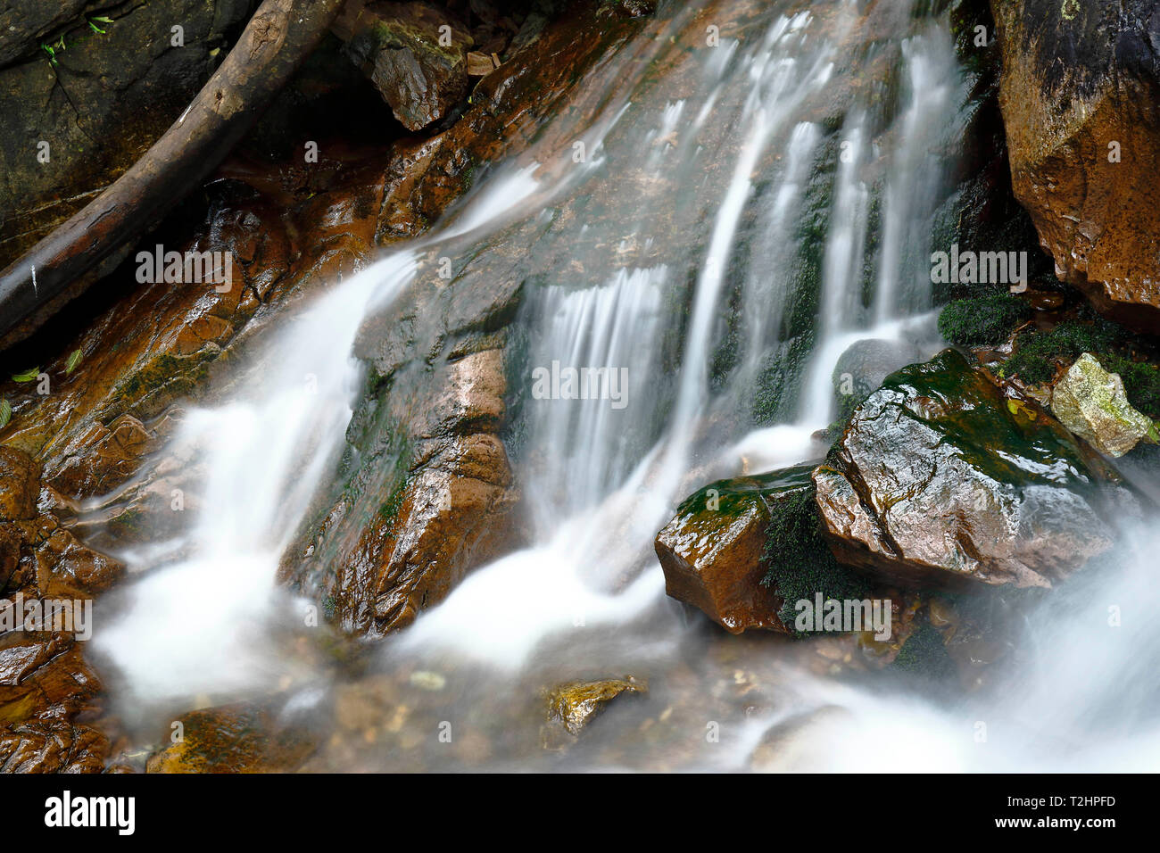 Beautiful natural water fall into the interior of andean forest in a stream called Miraflores located in the mountains. Stock Photo