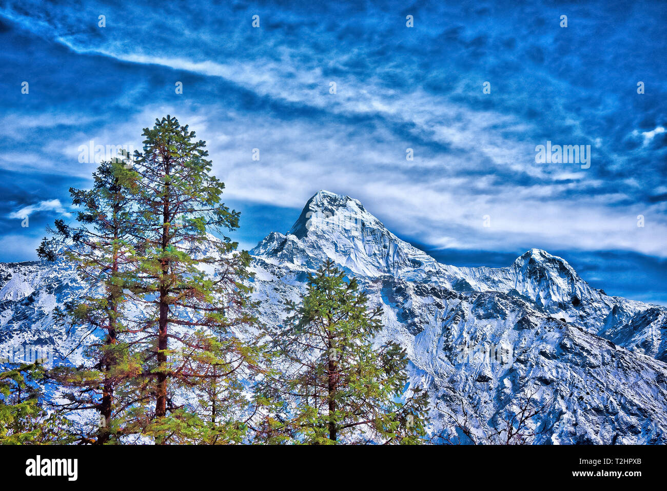 Himalaya snow hi-res stock photography and images - Alamy