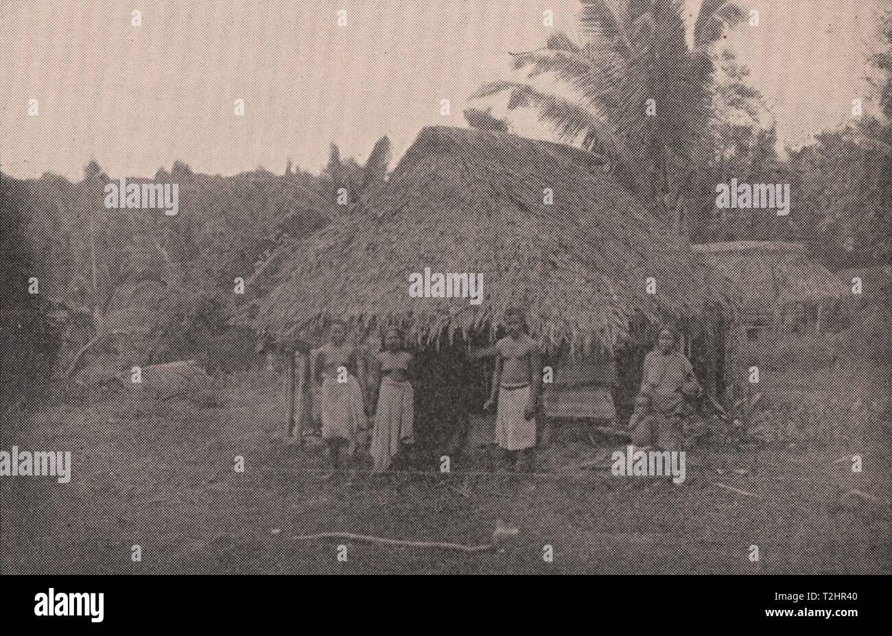 Samoan Residence in the Country as I saw it Stock Photo - Alamy