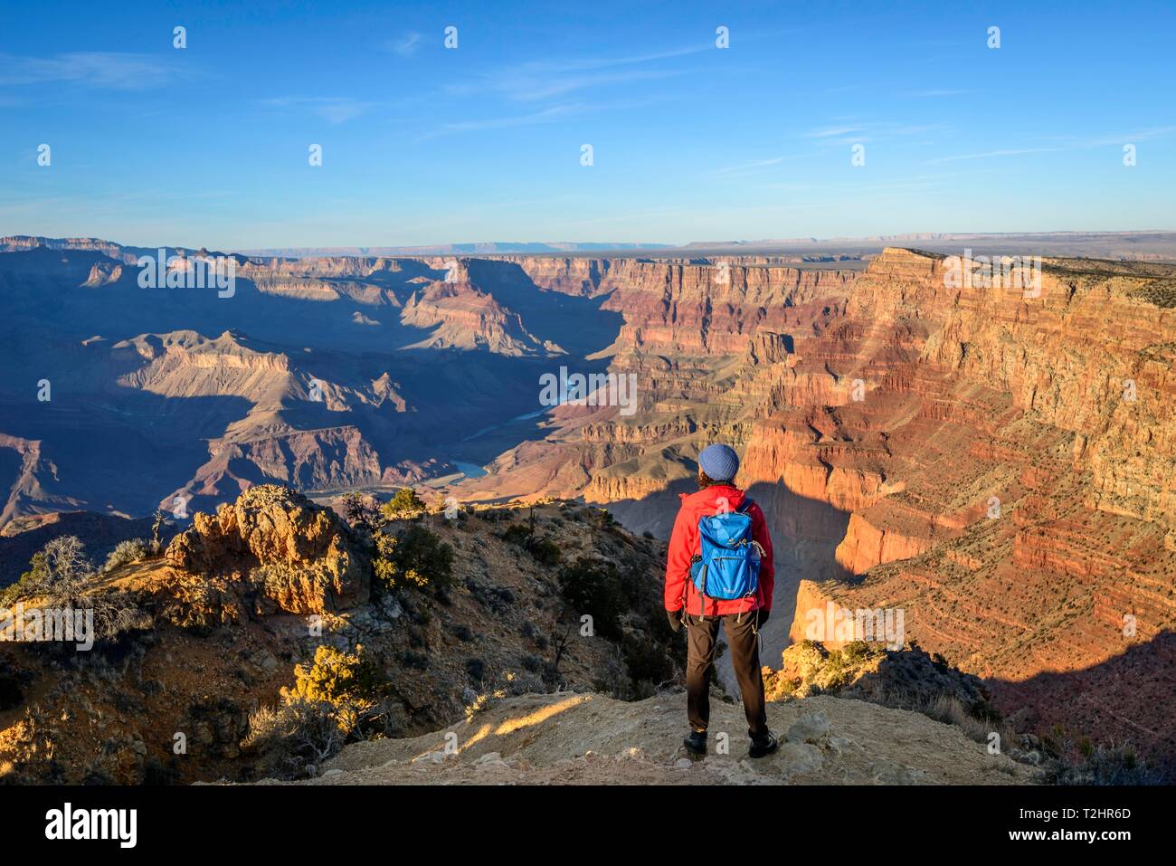 Young woman, tourist stands in front of the gorge of the Grand Canyon, view into the distance, Colorado River, eroded rock landscape, view near the Stock Photo