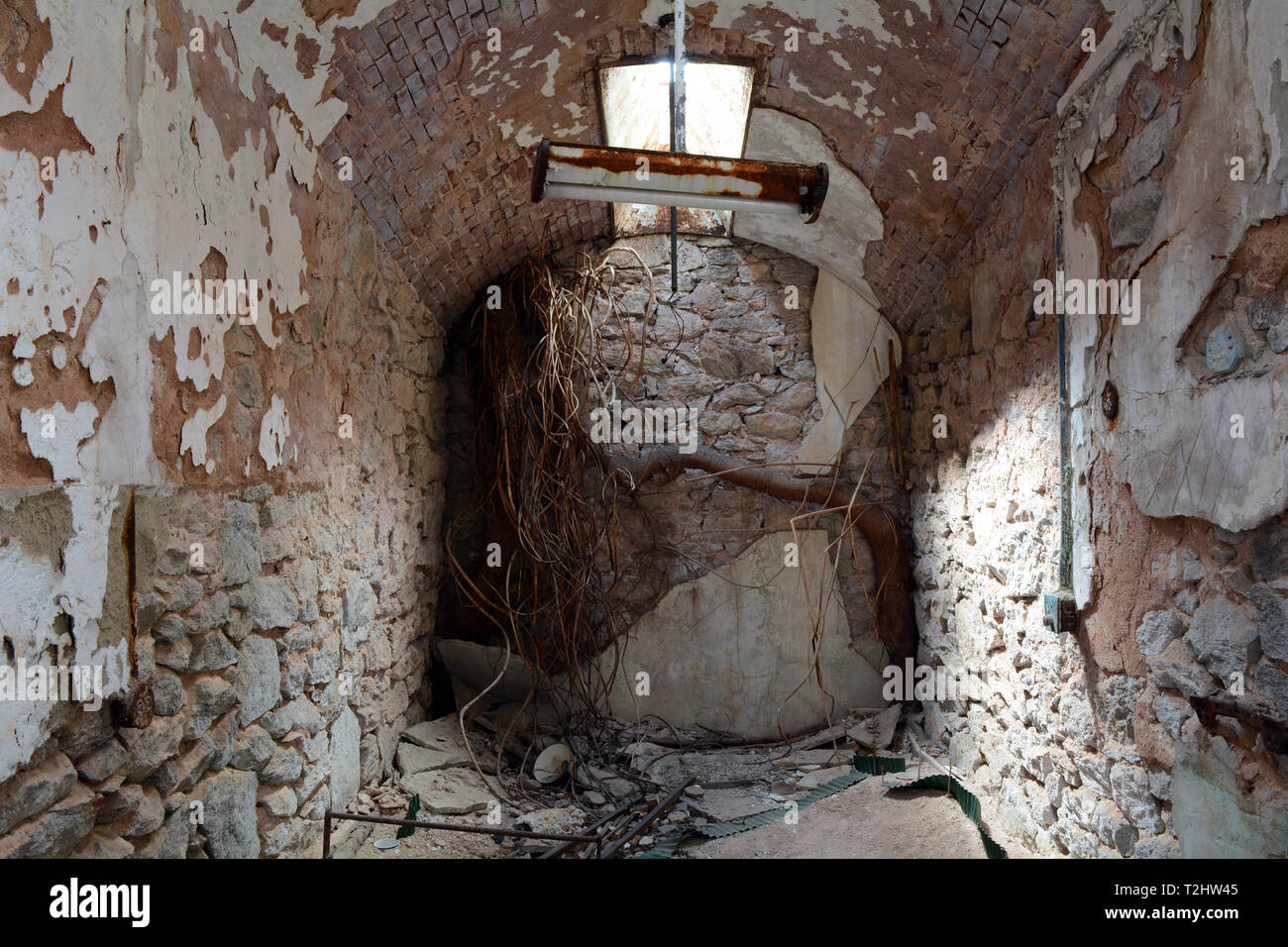 Eastern State Penitentiary - Abandoned Jail Cell With Tree Roots Growing Through a Crumbling Wall Stock Photo