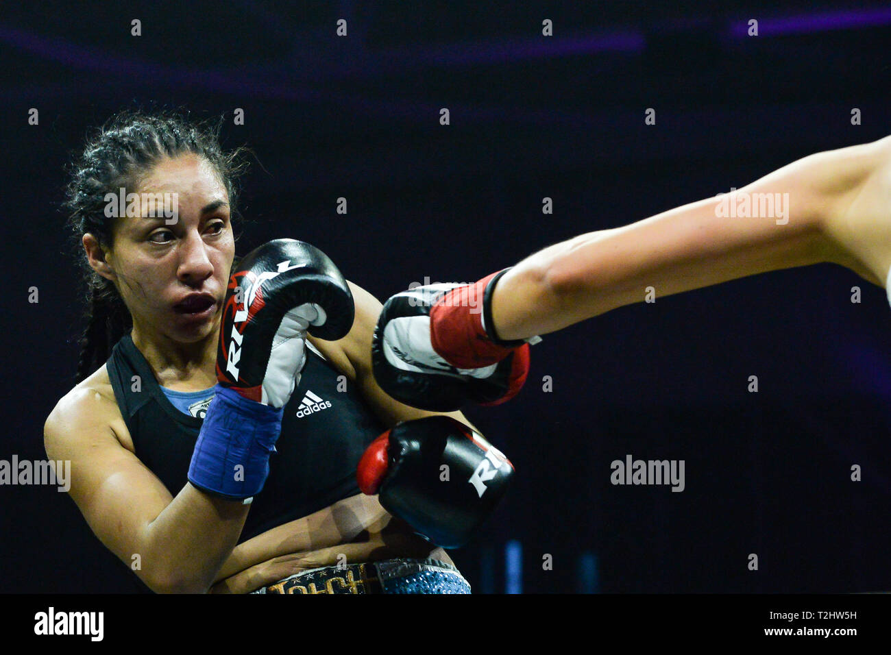TORONTO, ON - MARCH 29, 2019: Giselle "La Tigresa" Luna (L) from Argentina  punches Tanja Ovsenik (R) from Canada during the TAKEOVER boxing event pres  Stock Photo - Alamy