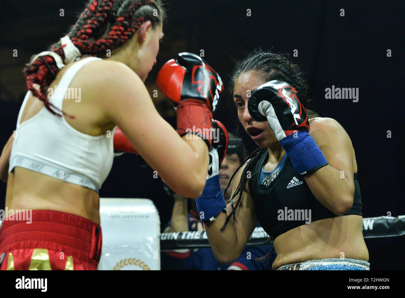 TORONTO, ON - MARCH 29, 2019: Tanja Ovsenik (L) from Canada against Giselle  "La Tigresa" Luna (R) from Argentina during the TAKEOVER boxing event pre  Stock Photo - Alamy