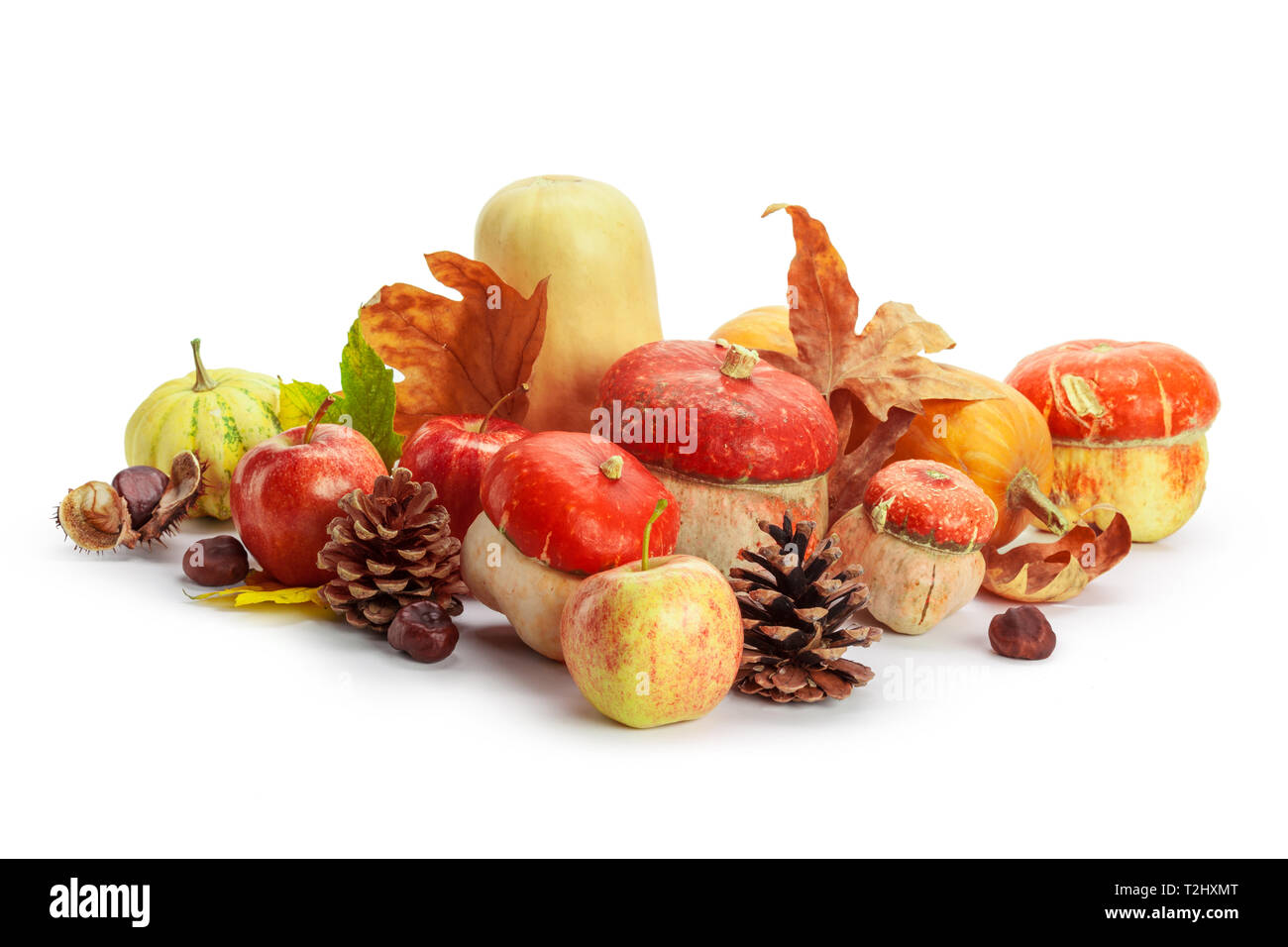 Autumn display with pumpkin and leaves isolated on white background ...