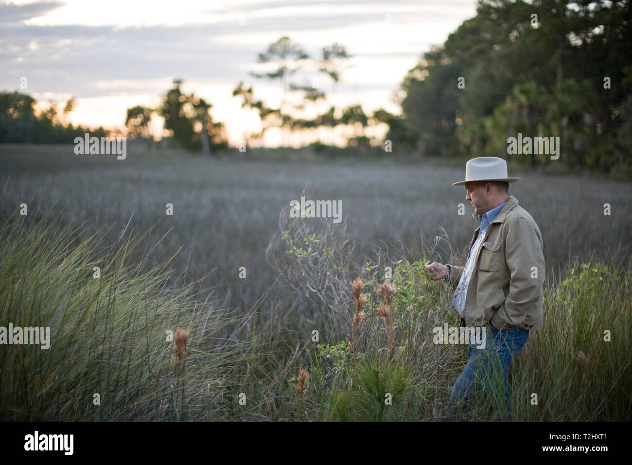 Man wearing a fedora hat and standing in a field Stock Photo
