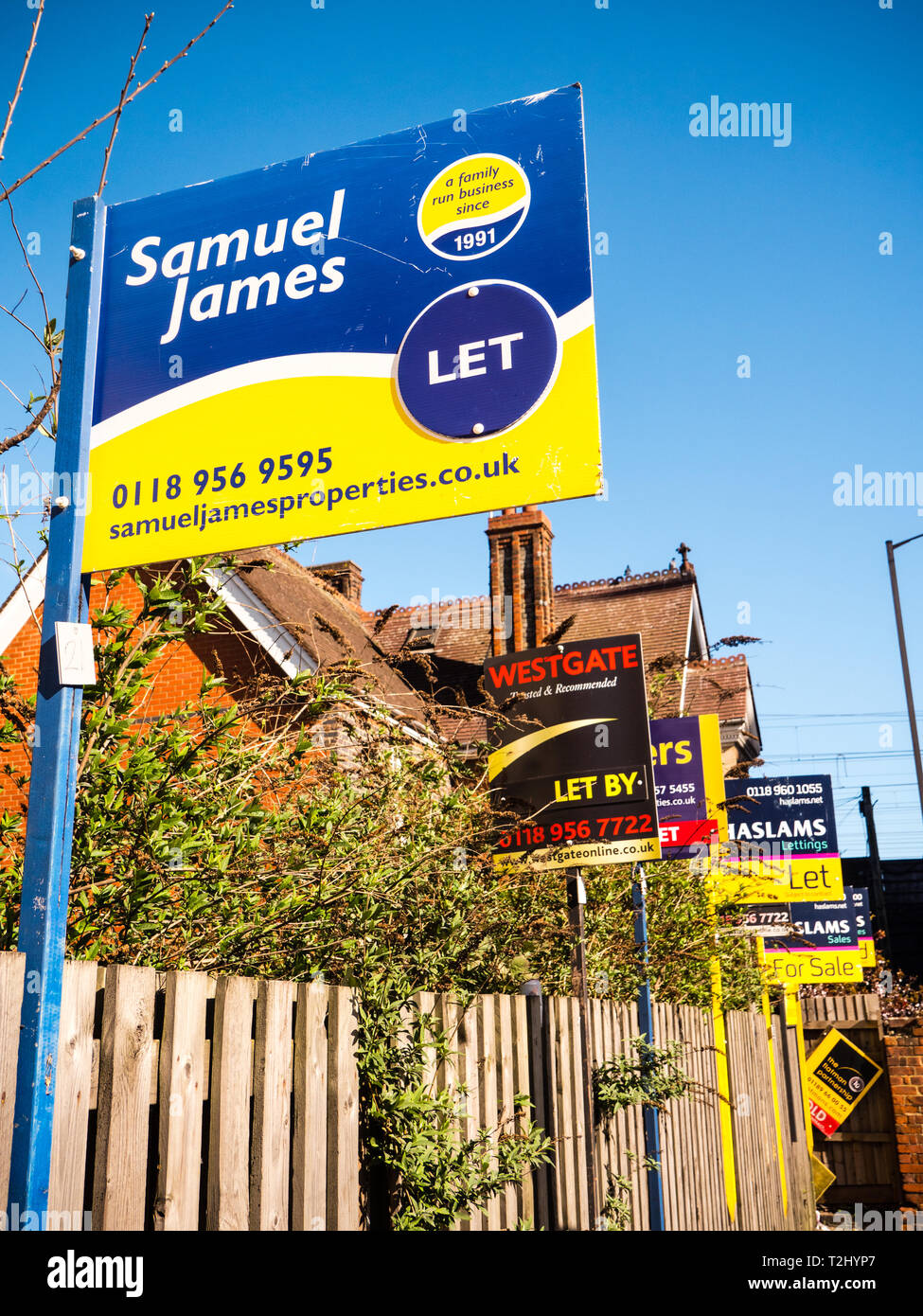 Many to Let Signs in Central Reading, Berkshire, England, UK, GB. Stock Photo