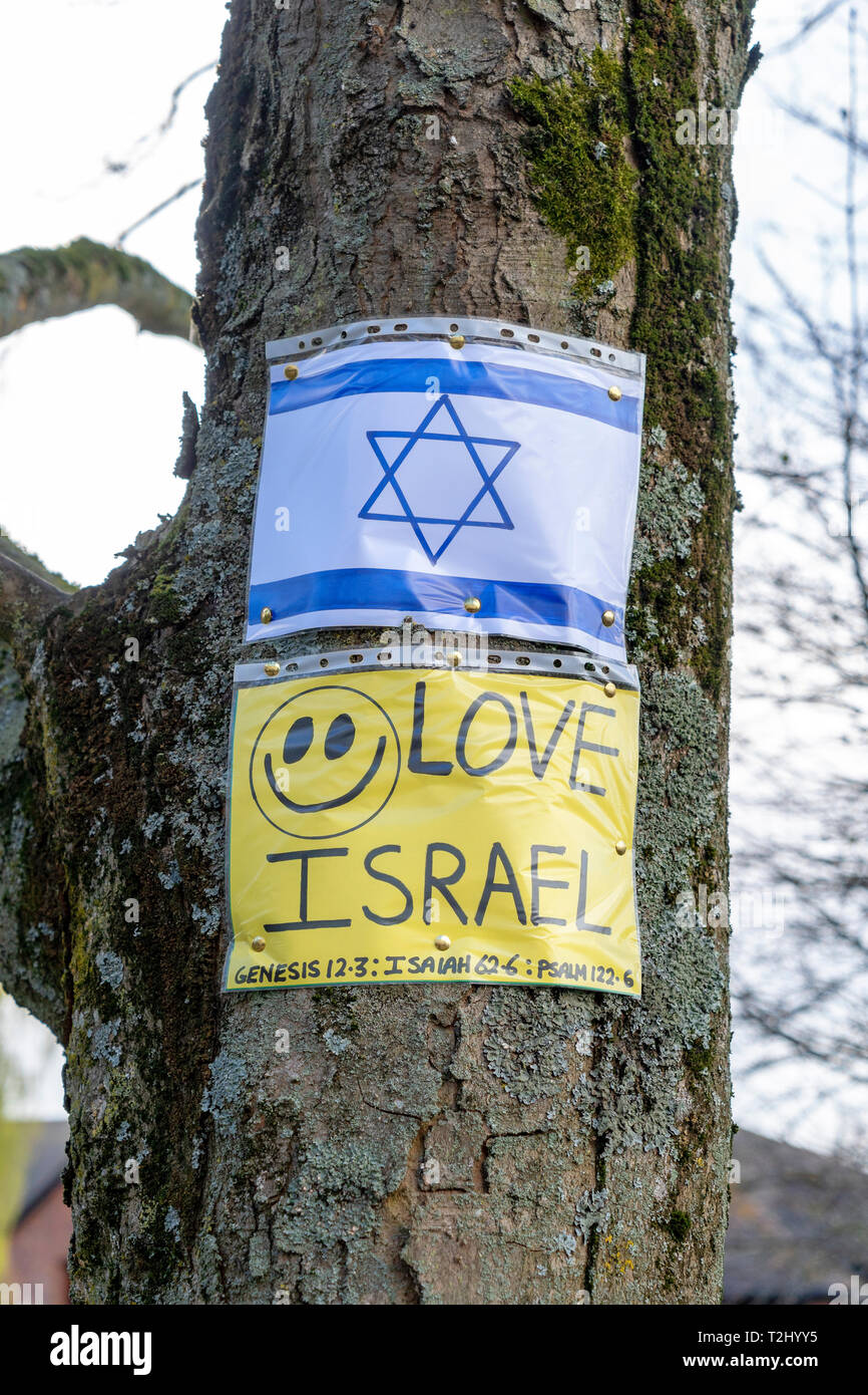 Love Israel flyer with smiley face pinned to a tree with the star of David below Stock Photo