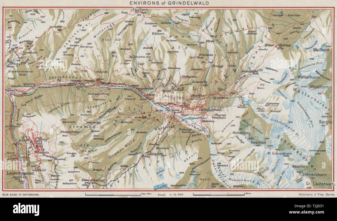 GRINDELWALD ENVIRONS. Wengen Faulhorn Lauterbrunnen. Vintage map plan