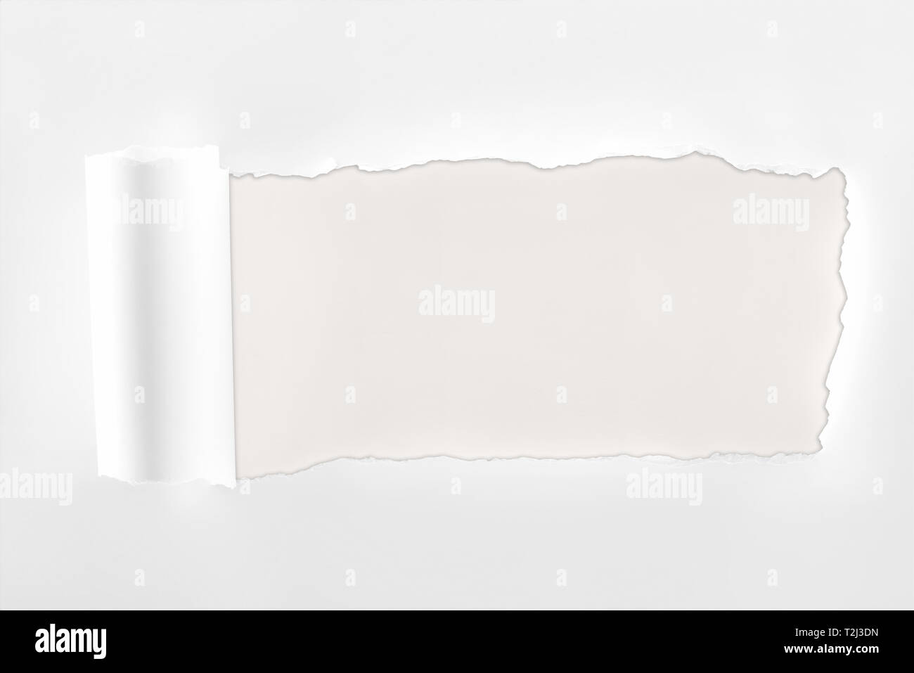 ripped textured white paper with rolled edge on white background Stock ...